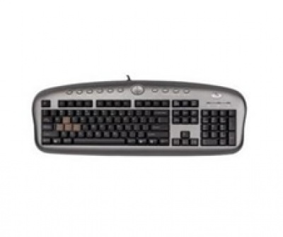 Imagine Tastatura A4Tech PS/2 KB-28G-1 Multimedia Black-Silver