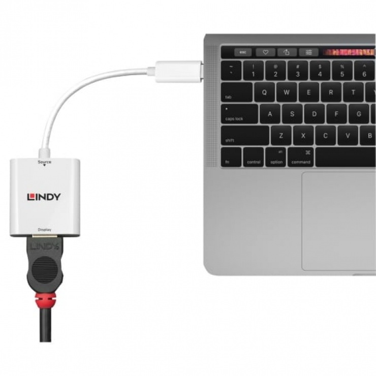 Imagine Adaptor USB 3.1-C la HDMI 4K T-M, Lindy L43244-2