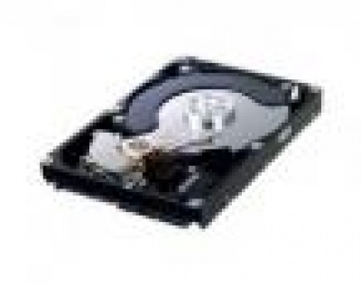 Imagine Hard Disk Samsung 500GB SATA2, 7200rpm, 16MB, HD502HJ