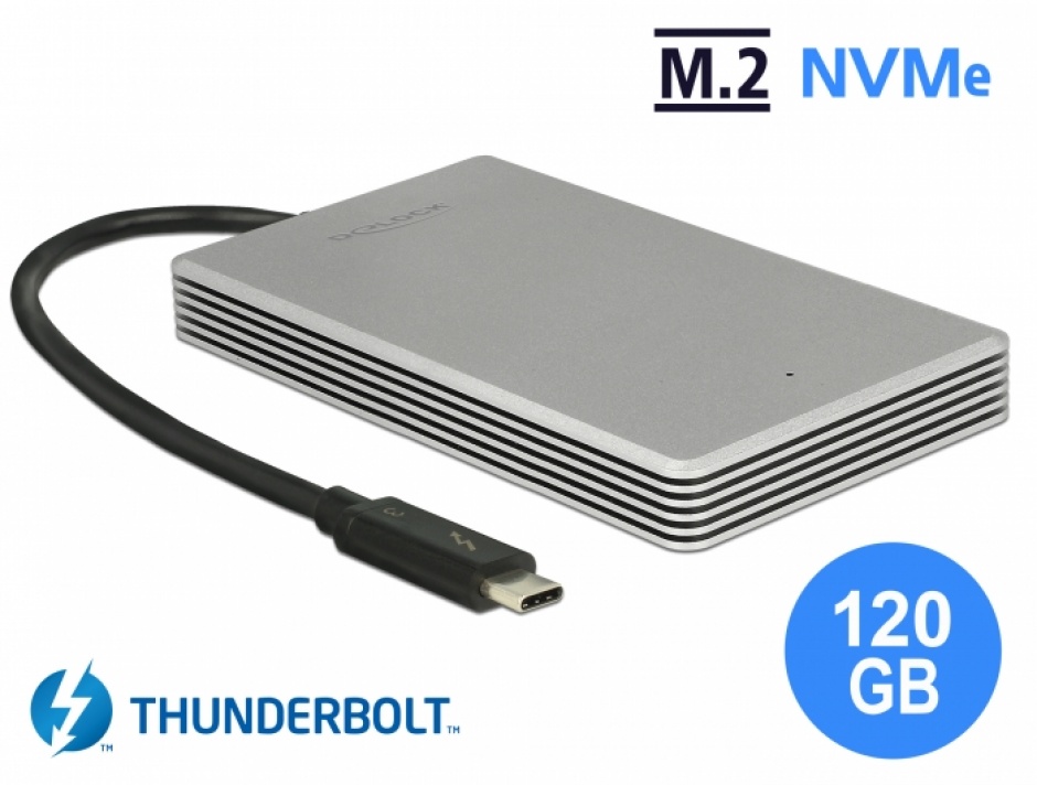 Imagine SSD Thunderbolt 3 extern portabil M.2 PCIe NVMe 120 GB, Delock 54060