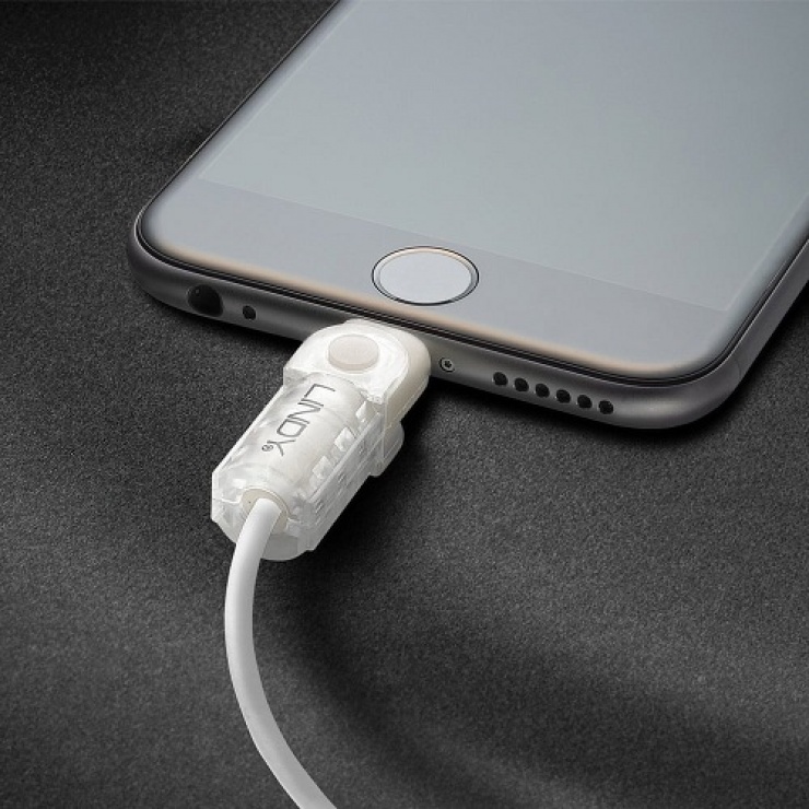 Imagine Kit de protectie pentru interfata Lightning + USB-A transparent, Lindy L31385-1