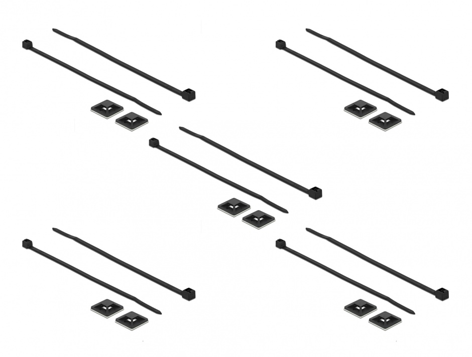 Imagine Set 10 bride 100 x 2.5 mm + suport prindere 20 x 20 mm Negru, Delock 18672