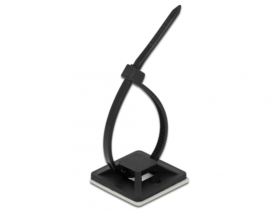 Imagine Set 10 bride 100 x 2.5 mm + suport prindere 20 x 20 mm Negru, Delock 18672