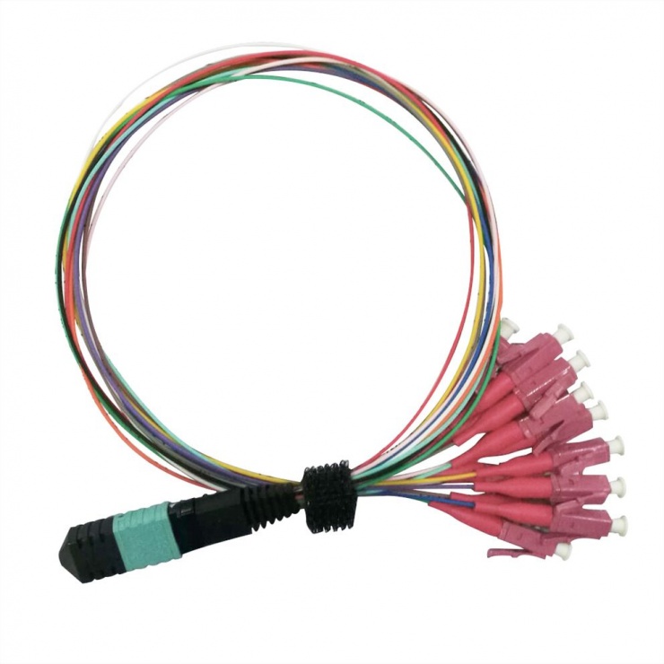 Imagine Cablu Fanout MPO - 12 x LC OM4 LSOH 2m, Value 21.99.1100