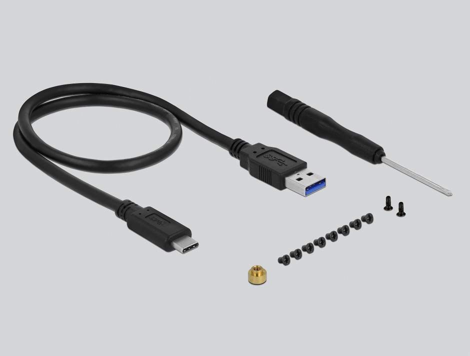 Imagine Rack extern M.2 SSD key B 60 mm la USB 3.1 tip C, Delock 42573