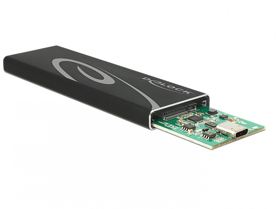 Imagine Rack extern M.2 SSD key B 80 mm la USB 3.1 tip C, Delock 42574