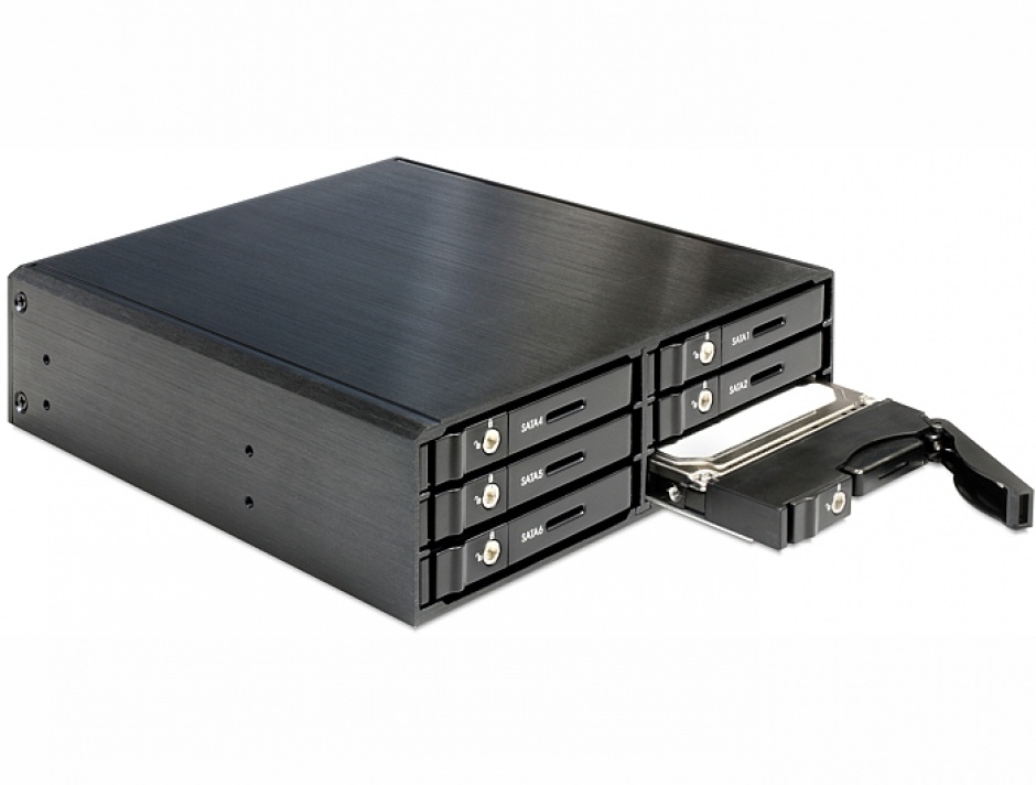 Imagine Rack Mobil 5.25" pentru 6 x SATA HDD/SSD, Delock 47221