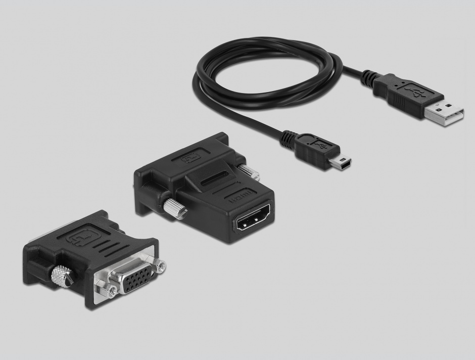 Imagine Adaptor USB 2.0 la DVI/VGA/HDMI, Delock 61787
