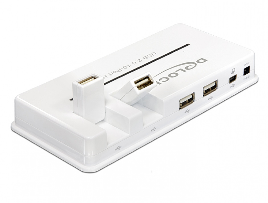 Imagine Hub USB 2.0 10 porturi, Delock 61857