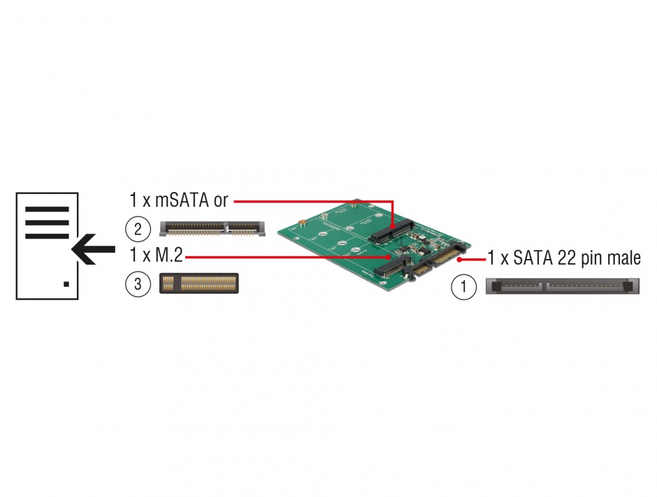 Imagine Convertor SATA 22 pini la 1 x M.2 NGFF + 1 x mSATA, Delock 62670