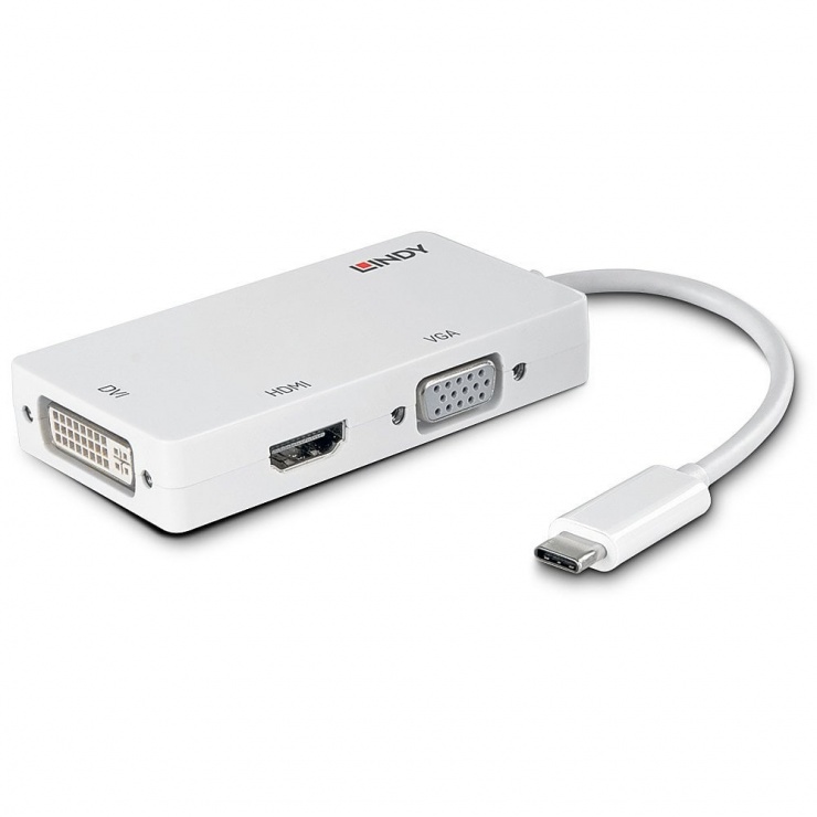 Imagine Adaptor USB-C la HDMI / VGA / DVI T-M Alb, Lindy L43273