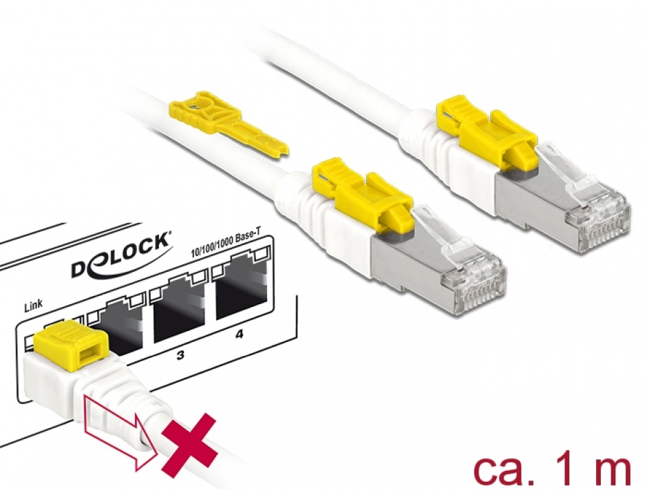 Imagine Cablu de retea RJ45 cat 6A cu sistem de blocare 1m, Delock 85331