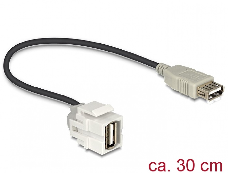 Imagine Modul Keystone USB 2.0-A 250 grade mama, Delock 86329