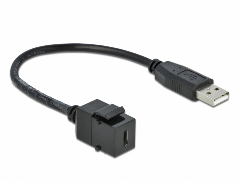 Imagine Modul keystone USB 2.0-C la USB-A M-T 25cm, Delock 86378