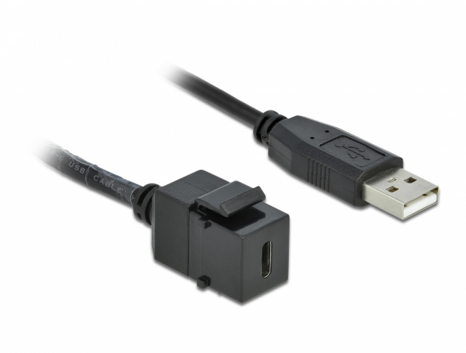 Imagine Modul keystone USB 2.0-C la USB-A M-T 25cm, Delock 86378
