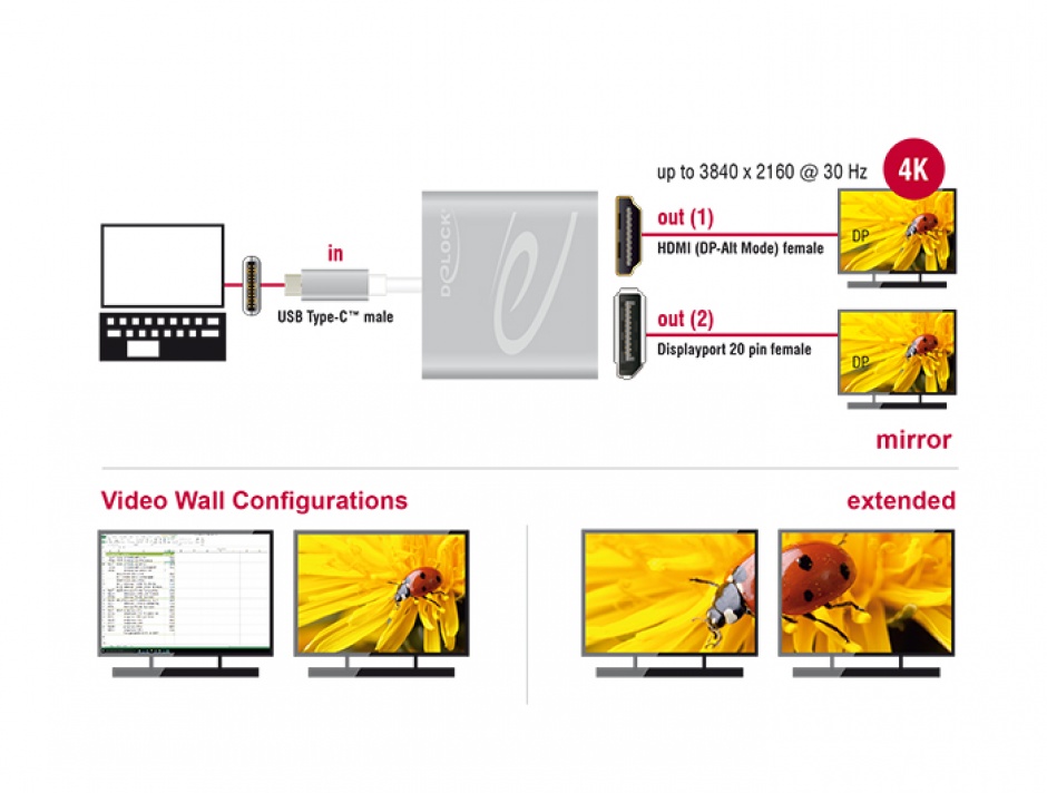 Imagine Multiplicator USB-C (DP Alt Mode) la 1 x HDMI + 1 x Displayport 4K 30 Hz, Delock 87716