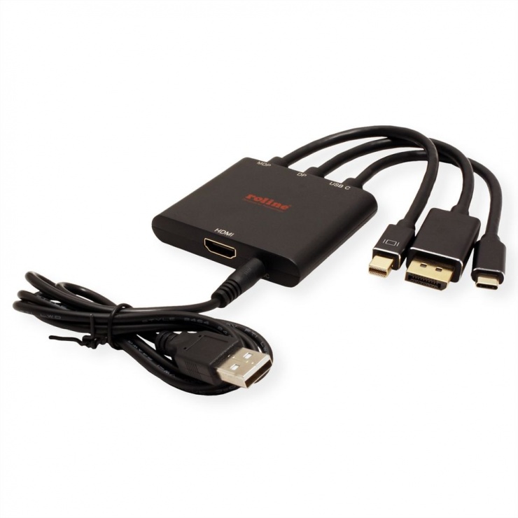 Imagine Adaptor Mini DisplayPort / DisplayPort / USB-C la HDMI T-M activ 0.15m, Roline 12.03.3139
