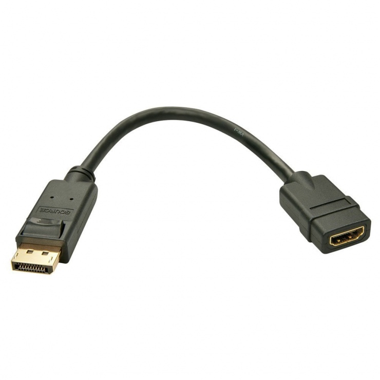 Imagine Adaptor Displayport la HDMI T-M Negru, Lindy L41005