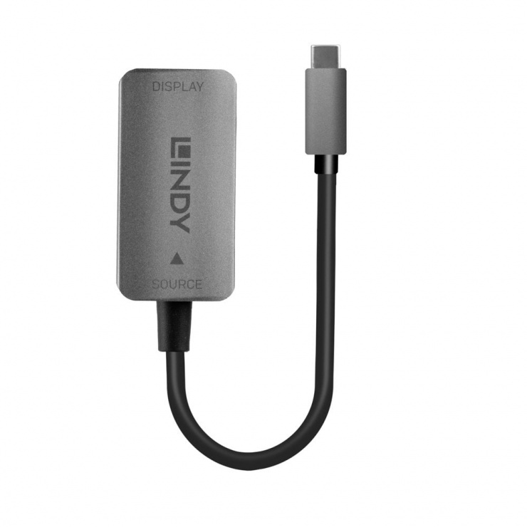 Imagine Adaptor USB 3.1 Type C la Displayport 4K@60Hz T-M, Lindy L43286