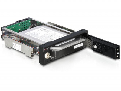 Imagine Rack intern 5.25" pentru HDD SAS/SATA 3.5", Delock 47195