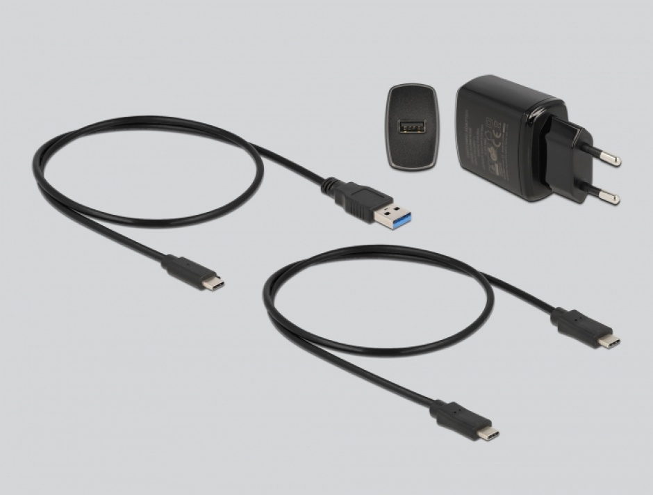 Imagine Docking station USB 3.2 Gen 2-C la 2 x M.2 SATA SSD cu functie de clona, Delock 63334
