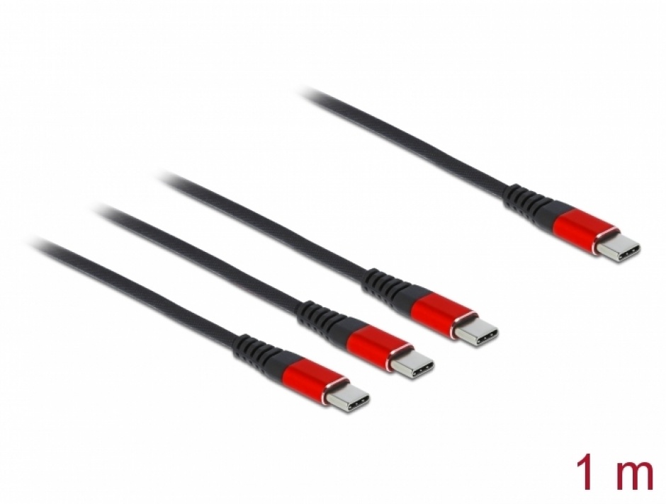 Imagine Cablu de incarcare USB-C la 3 x USB-C T-T 1m, Delock 86713