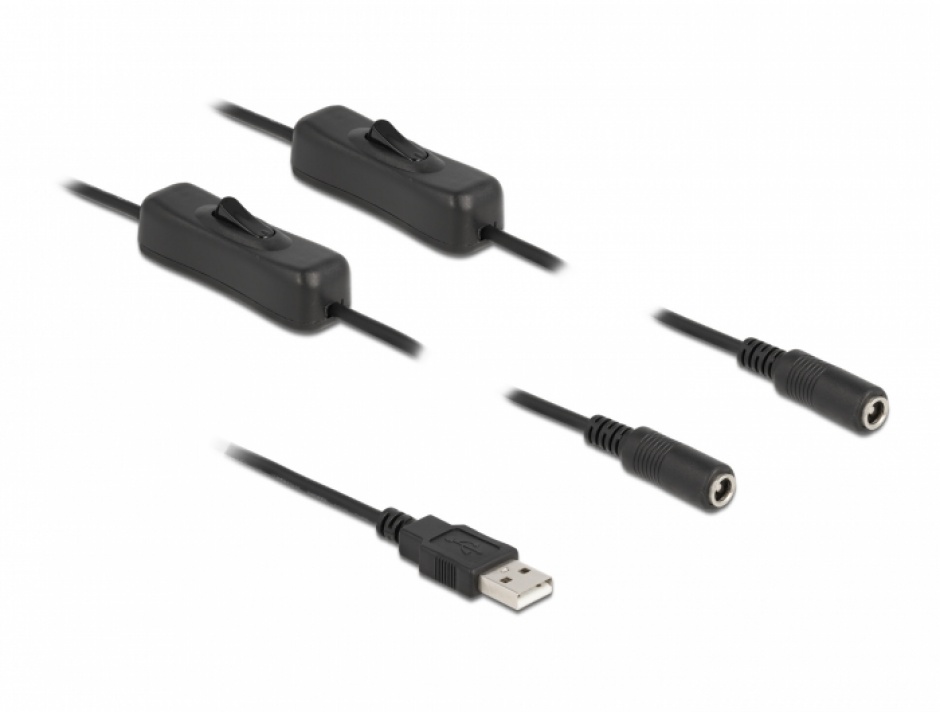 Imagine Cablu de alimentare USB-A la 2 x DC 5.5 x 2.1 mm T-M cu switch On/Off 1m, Delock 86797