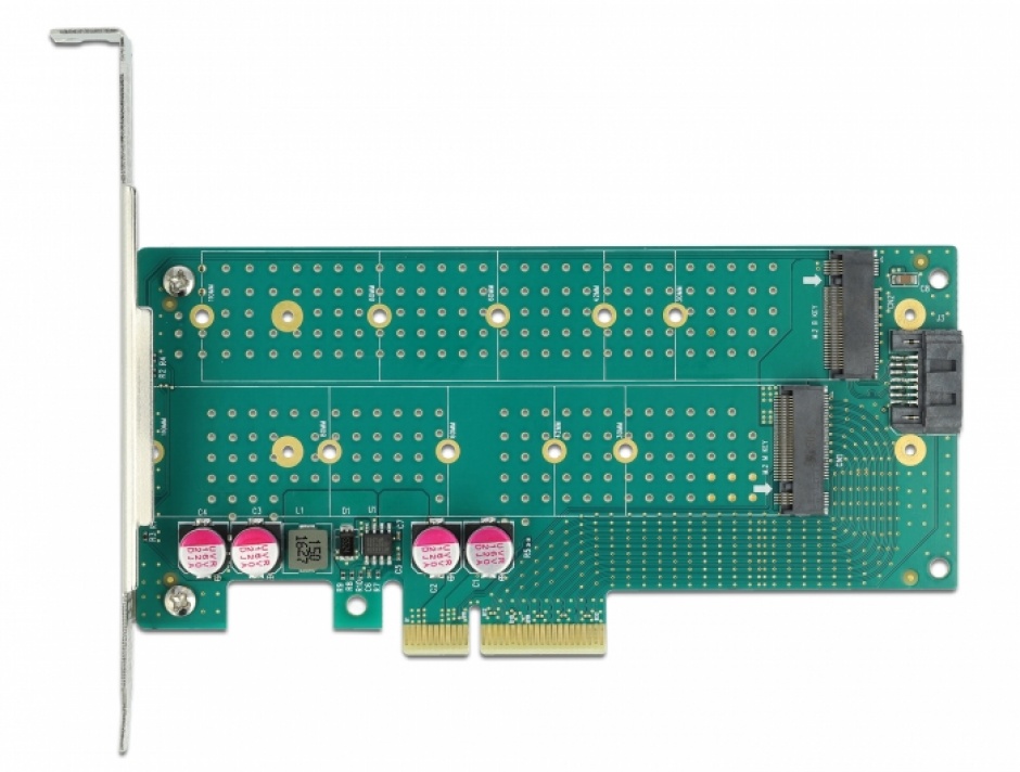 Imagine PCI Express cu 1 x M.2 Key B + 1 x NVMe M.2 Key M LPFF, Delock 89047