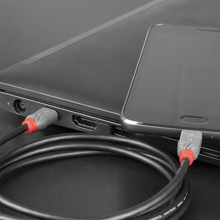 Imagine Cablu USB 2.0 tip C la micro USB-B T-T 2m Anthra Line, Lindy L36892