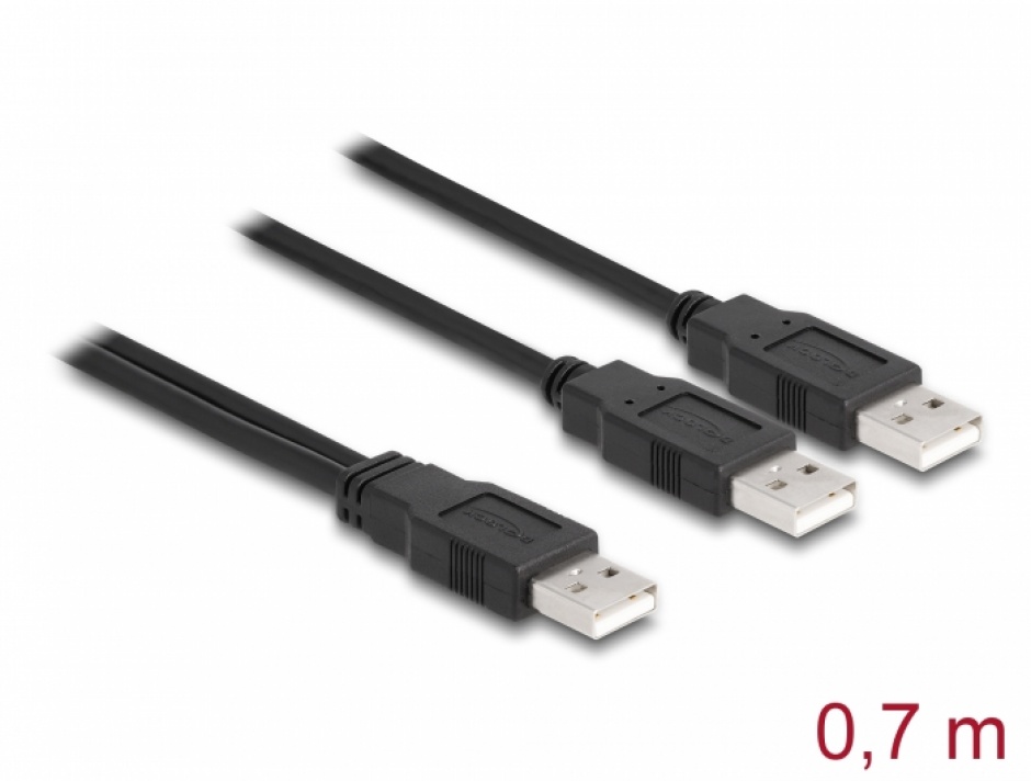 Imagine Cablu Y USB-A 2.0 la 2 x USB-A 70cm, Delock 80000