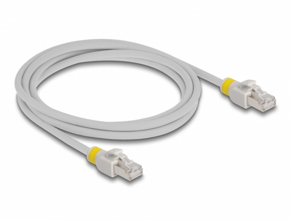Imagine Cablu de retea RJ45 Cat.6A FTP + 20 cleme colorate 2m Gri, Delock 80119