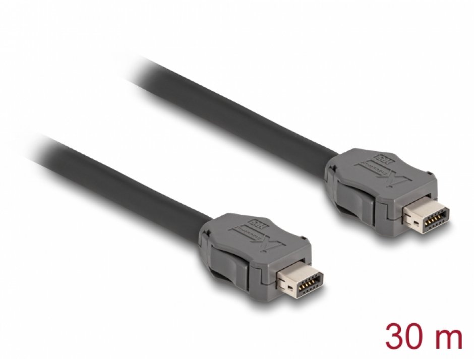Imagine Cablu ix Industrial (A-coded) pentru Industry 4.0/IoT Cat.7 T-T 30m, Delock 82026