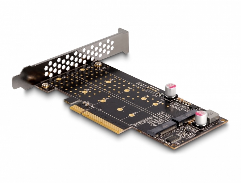 Imagine PCI Express la 2 x NVMe M.2 Key M - Bifurcation - LPFF, Delock 89837