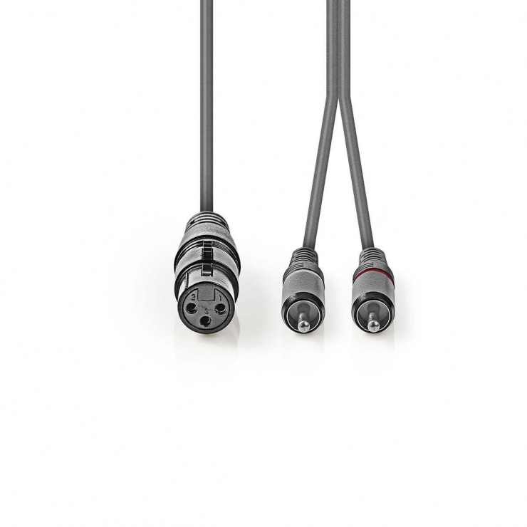Imagine Cablu audio XLR 3 pini la 2 x RCA M-T 2m, Nedis COTH15220GY15