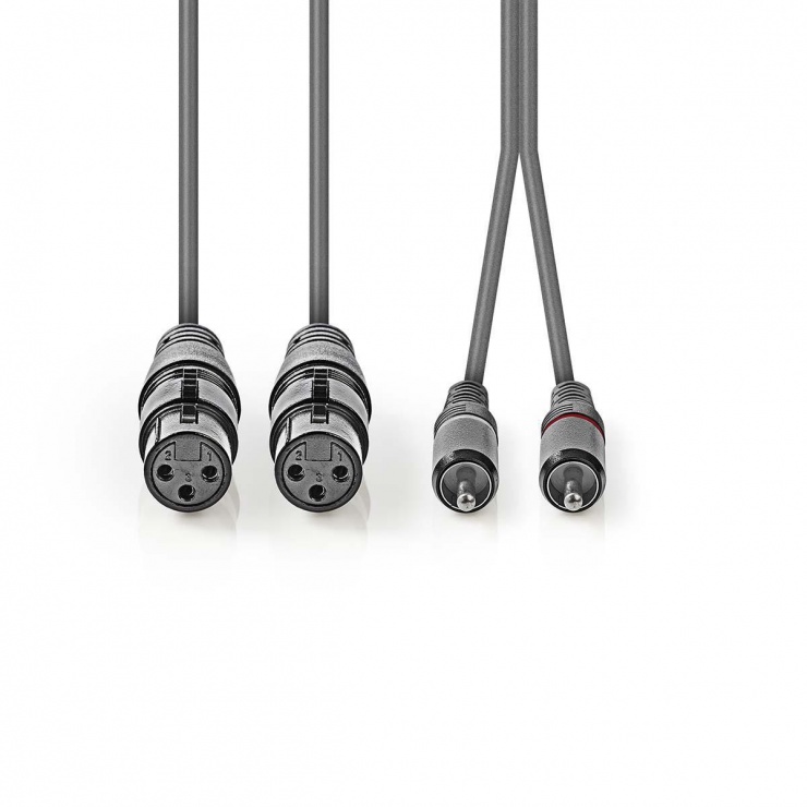 Imagine Cablu audio balansat 2 x XLR 3 pini la 2 x RCA T-T 3m, Nedis COTH15230GY30