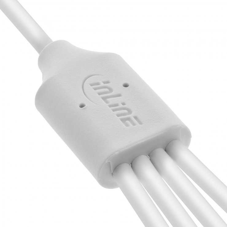 Imagine Cablu de alimentare USB-A la 4 x USB type C T-T 1m Alb, InLine IL35141W