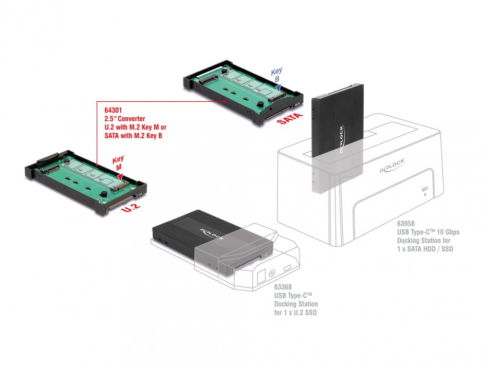 Imagine Rack extern M.2 Key M NVMe SSD la U.2 sau M.2 Key B SATA SSD la SATA, Delock 64301