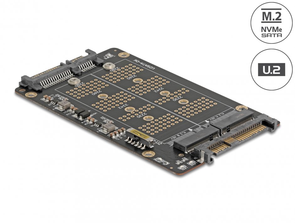 Imagine Convertor M.2 Key M NVMe SSD la U.2 si M.2 Key B SATA SSD la SATA, Delock 64354