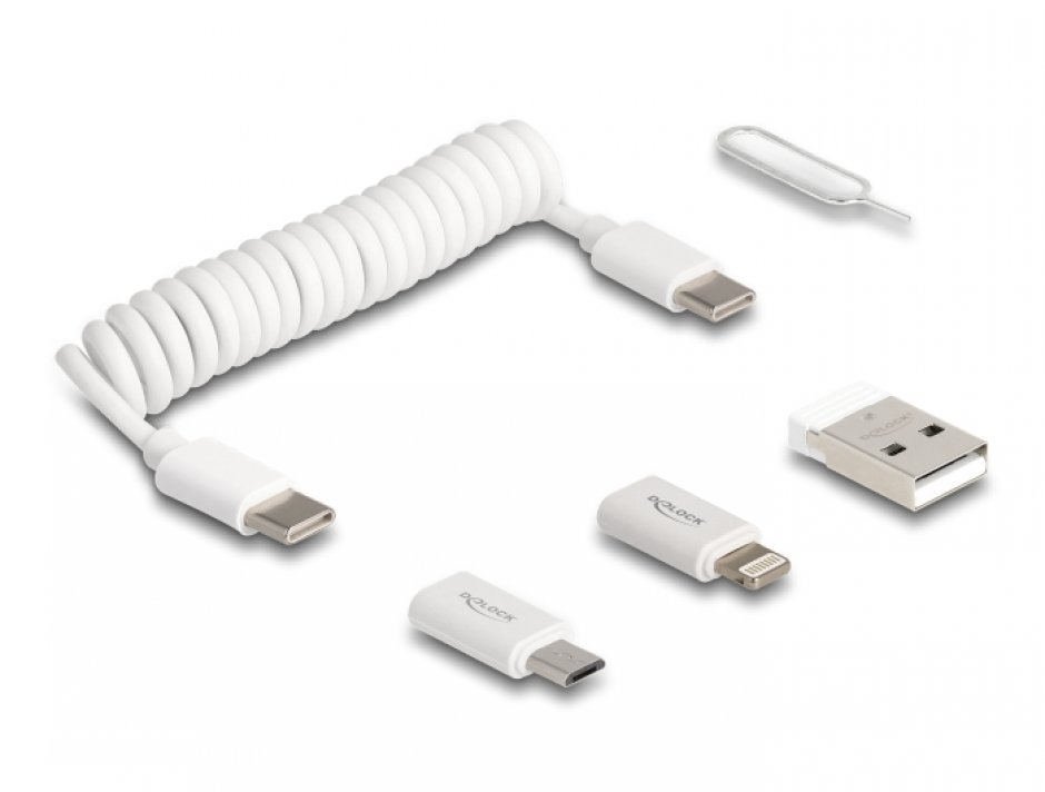 Imagine Set 5 in 1 cablu USB 2.0 type C spiralat 60W T-T + adaptoare 0.25m Alb, Delock 66612