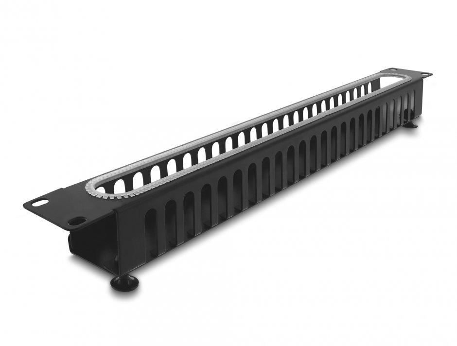Imagine Panou 19" 1U cu organizare cabluri si protectie la margine Negru, Delock 67277