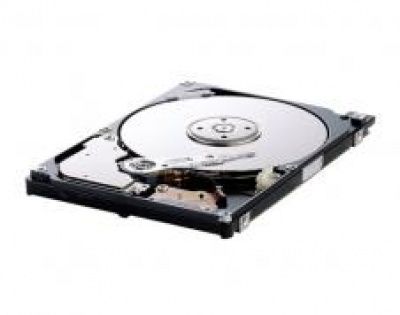 Imagine Hard Disk Notebook Samsung 320GB SATA, 5400rpm, 8MB, HM320JI