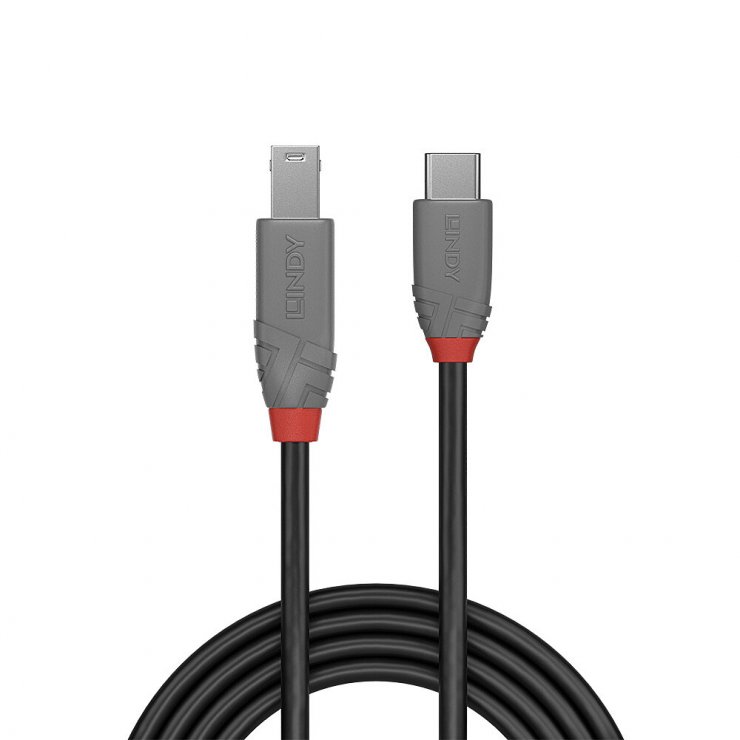 Imagine Cablu USB 3.2 Type C la USB-B Anthra Line 0.5m, Lindy L36665