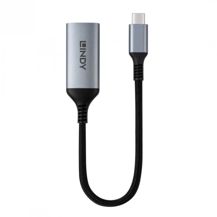 Imagine Adaptor USB type C la DisplayPort 8K60Hz/4K120Hz T-M, Lindy L43426