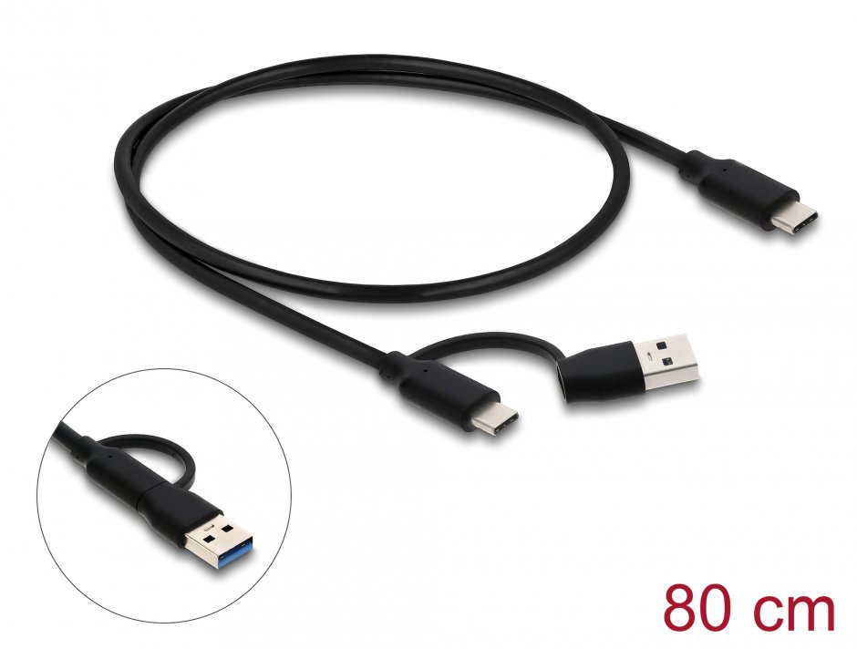 Imagine HUB USB 10 Gbps cu 2 x USB Type C + 2 x USB-A Negru, Delock 64259