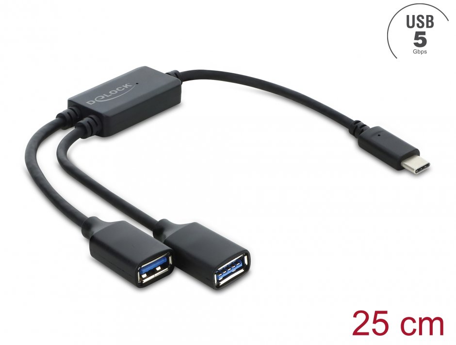 Imagine HUB USB 5 Gbps type C la 2 x USB-A 25cm, Delock 64373