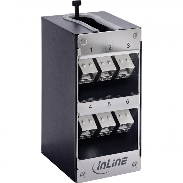 Imagine Cutie cu 6 x keystone Cat.6A montare perete/DIN rail, InLine IL76203O