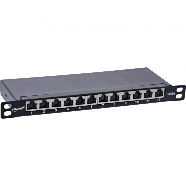 Imagine Patch panel 12 porturi 10" Cat.6A 0.5U + capac protectie Negru, InLine IL76819B