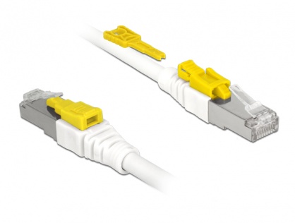 Cablu de retea RJ45 cat 6A cu sistem de blocare 3m, Delock 85333