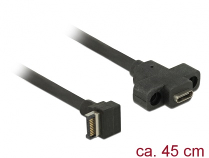 Cablu panel-mount USB 3.1 Gen 2 key A 20 pini T-M 45cm, Delock 85326