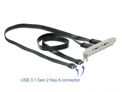 Bracket cu 2 x USB-C 20V/3A, Delock 89935